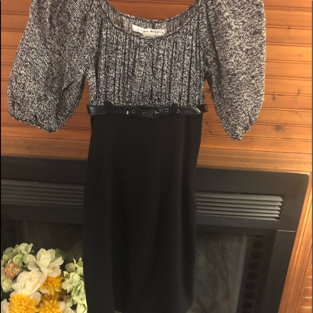 Max Studio Dress w/ Belt